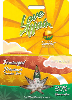 Love Affair Strain Feminized