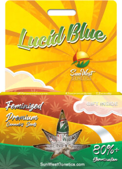Lucid Blue Strain Feminized