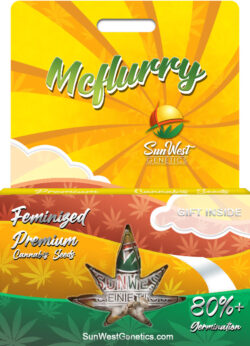 Mcflurry Strain Feminized
