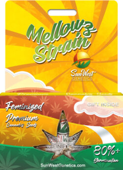 Mellowz Strain Feminized