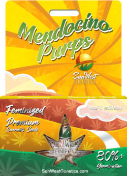 Mendocino Purps Strain Feminized