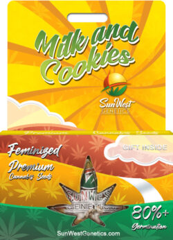 Milk and Cookies Strain Feminized