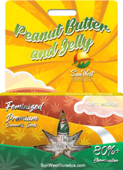 Peanut Butter and Jelly Strain Feminized