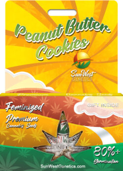 Peanut Butter Cookies Strain Feminized