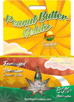 Peanut Butter Gelato Strain Feminized