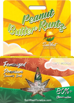 Peanut Butter Runtz Strain Feminized