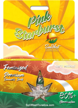 Pink Starburst Strain Feminized