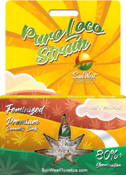 Puro Loco Strain Feminized