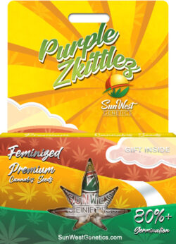 Purple Zkittlez Strain Feminized