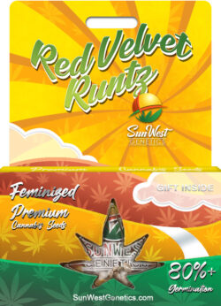 Red Velvet Runtz Strain Feminized