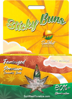 Sticky Buns Strain Feminized