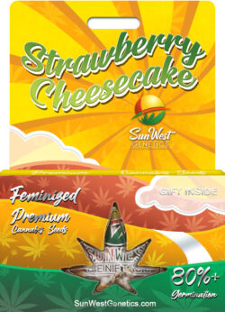 Strawberry Cheesecake Strain Feminized