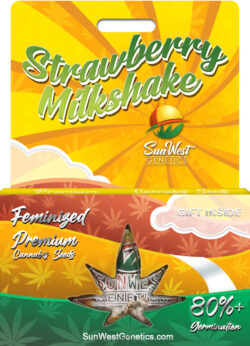 Strawberry Milkshake Strain Feminized