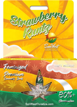 Strawberry Runtz Strain Feminized