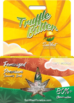Truffle Butter Strain Feminized