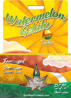 Watermelon Gelato Strain Feminized