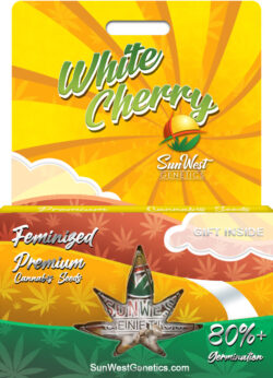 White Cherry Strain Feminized
