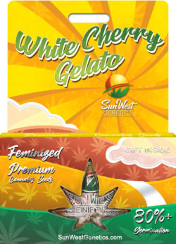 White Cherry Gelato Strain Feminized