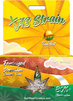 XJ13 Strain Feminized