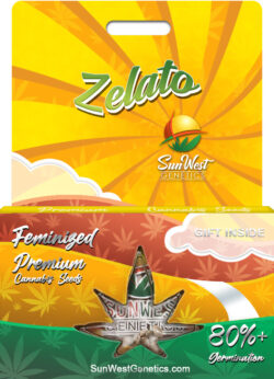 Zelato Strain Feminized