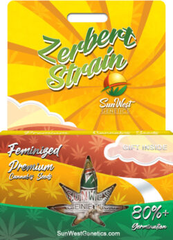 Zerbert Strain Feminized