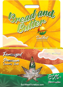 Bread and Butter Strain Feminized