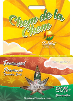 Chem de la Chem Strain Feminized