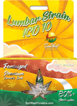 Lumbar Strain ICD 10 Feminized