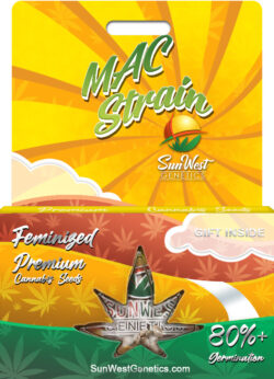 MAC Strain Feminized
