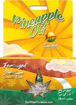 Pineapple OG Strain Feminized