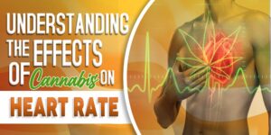 does weed increase your heart rate