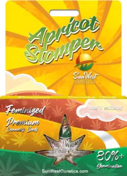 Apricot Stomper Strain Feminized