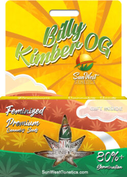 Billy Kimber OG Strain Feminized