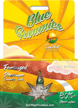 Blue Gummies Strain Feminized