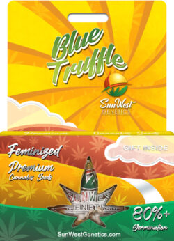 Blue Truffle Strain Feminized