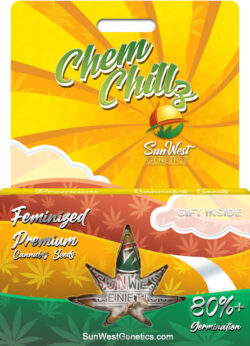 Chem Chillz Strain Feminized