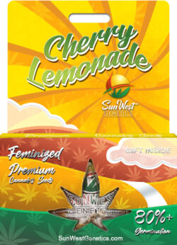 Cherry Lemonade Strain Feminized