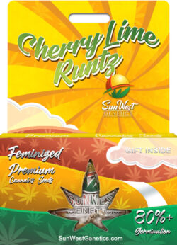 Cherry Lime Runtz Strain Feminized