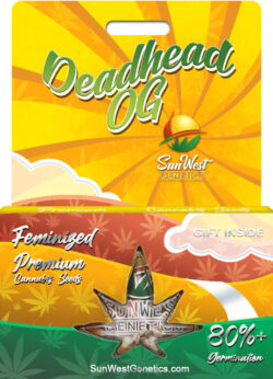 Deadhead OG Strain Feminized
