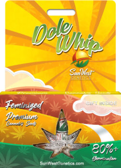 Dole Whip Strain Feminized