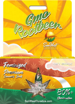 GMO Rootbeer Strain Feminized