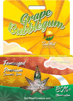 Grape Bubblegum Strain Feminized