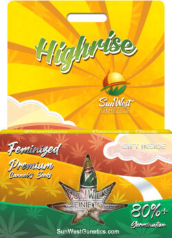 Highrise Strain Feminized