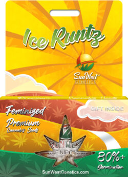 Ice Runtz Strain Feminized