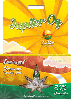 Jupiter OG Strain Feminized
