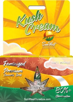 Kush Cream Strain Feminized