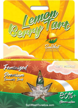 Lemon Berry Tart Strain Feminized