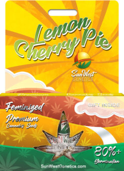 Lemon Cherry Pie Strain Feminized