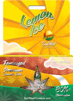 Lemon Ice Strain Feminized