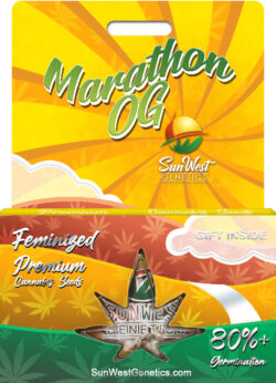 Marathon OG Strain Feminized
